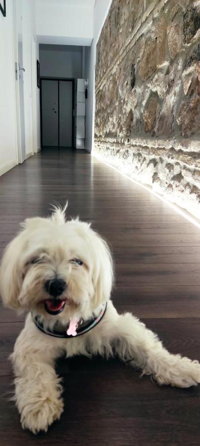 Ema Flat In Trastevere โรม ภายนอก รูปภาพ